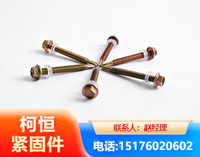 阿拉善六角钻尾丝