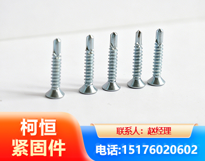 阿拉善平头钻尾丝